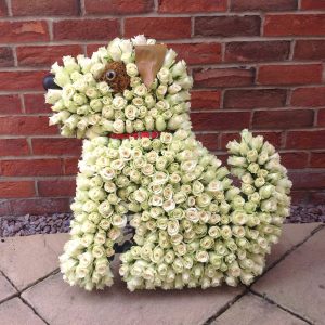 Dog funeral tribute with roses. Spalding. Lincolnshire